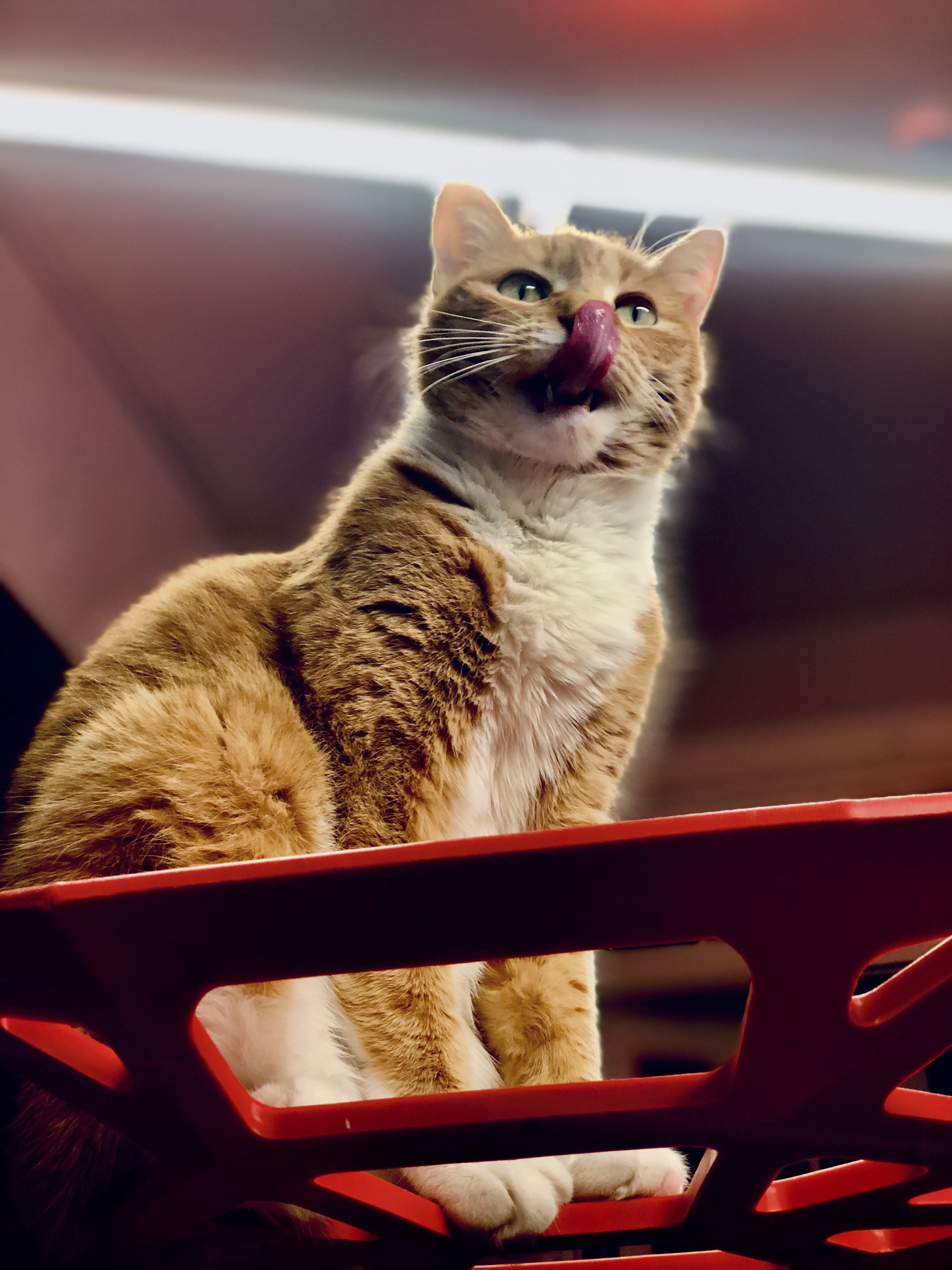 Strong backlight iPhone frame